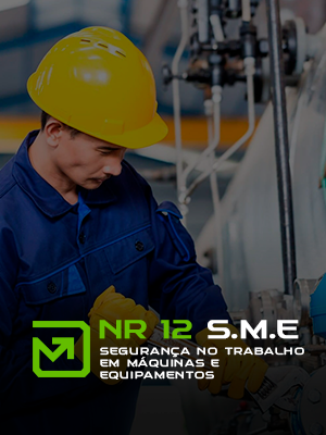 Treinamento Presencial NR 12 - MLG Segurança do TrabalhoTreinamento Presencial NR 12 - MLG Segurança do Trabalho